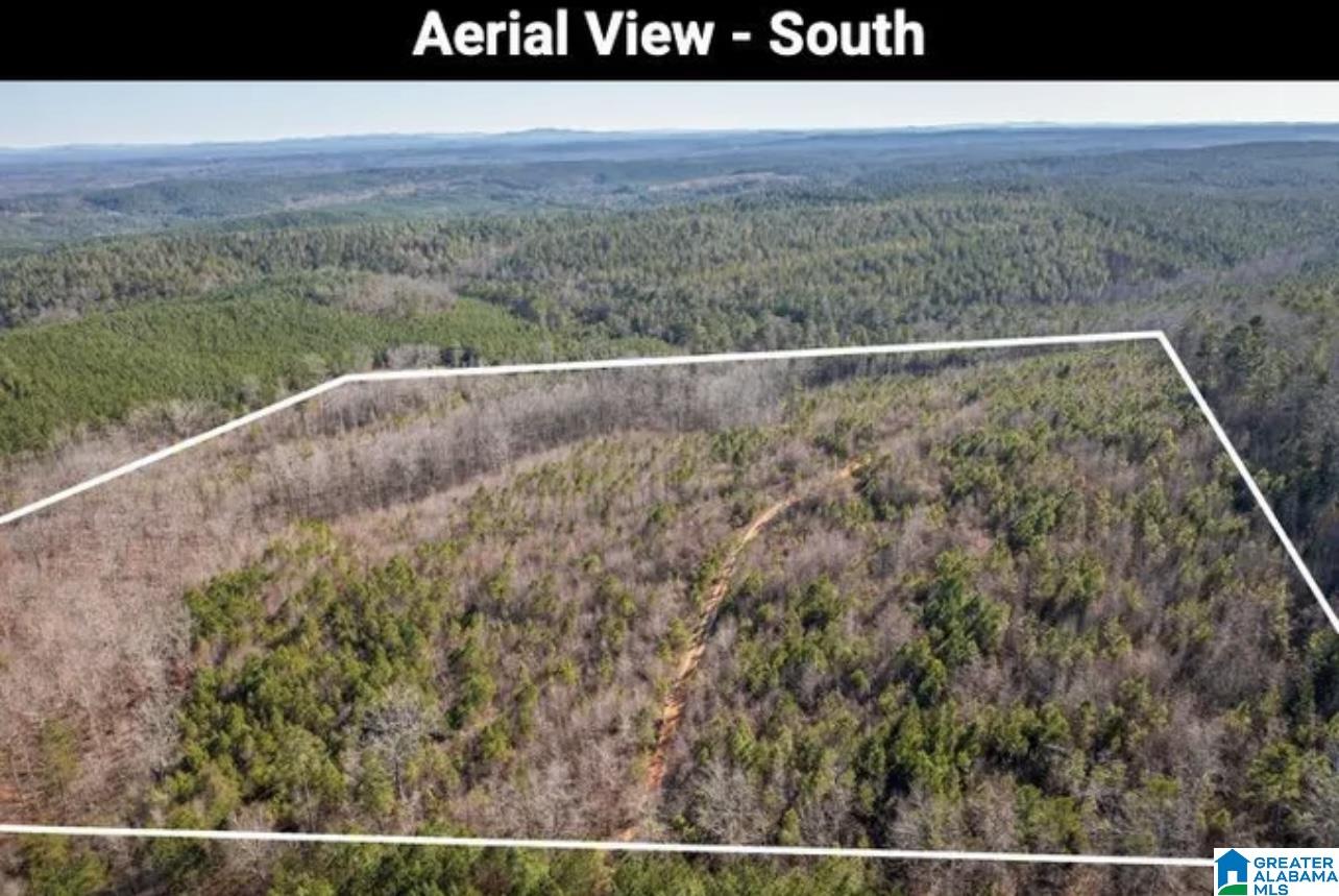 Homes for sale in Odenville, AL | 0 Pleasant Hill Road, Odenville, AL 35120 | MLS# 21444908