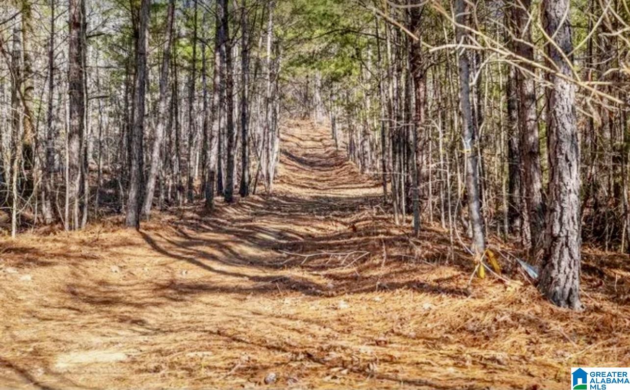 Homes for sale in Odenville, AL | 0 Pleasant Hill Road, Odenville, AL 35120 | MLS# 21444908