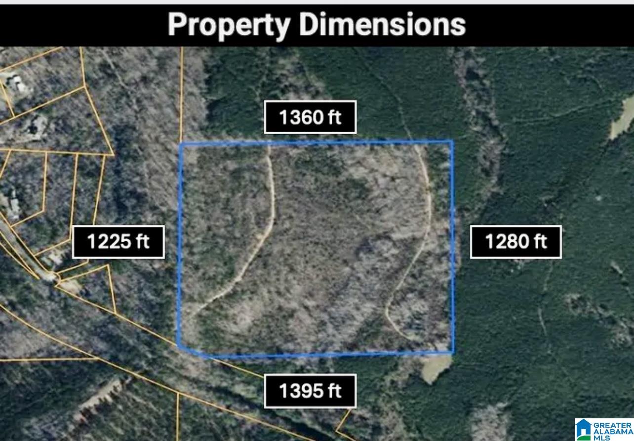 Homes for sale in Odenville, AL | 0 Pleasant Hill Road, Odenville, AL 35120 | MLS# 21444908