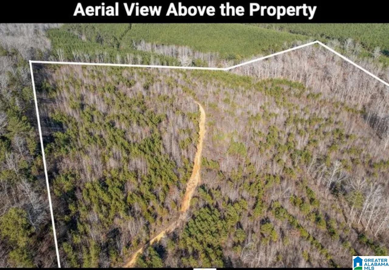 Homes for sale in Odenville, AL | 0 Pleasant Hill Road, Odenville, AL 35120 | MLS# 21444908