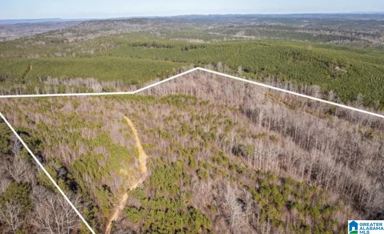 Homes for sale in Odenville, AL | 0 Pleasant Hill Road, Odenville, AL 35120 | MLS# 21444908