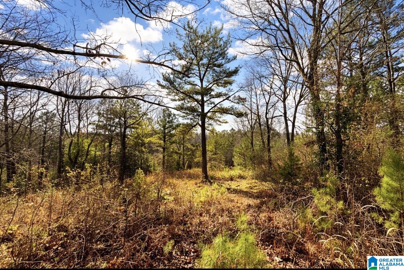 Homes for sale in Ragland, AL | 1344 Denas Cove Road, Ragland, AL 35131 | MLS# 21444911