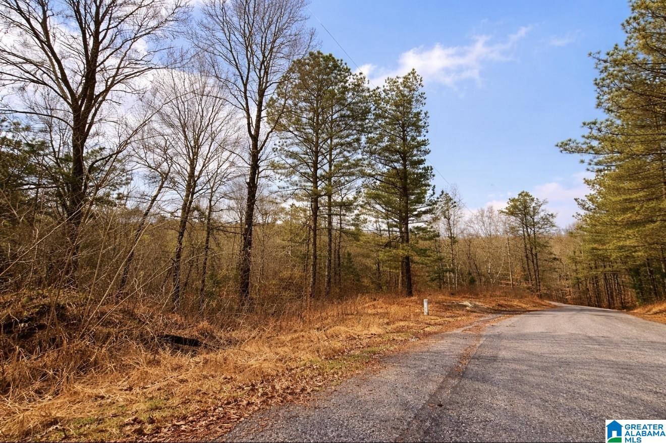 Homes for sale in Ragland, AL | 1344 Denas Cove Road, Ragland, AL 35131 | MLS# 21444911