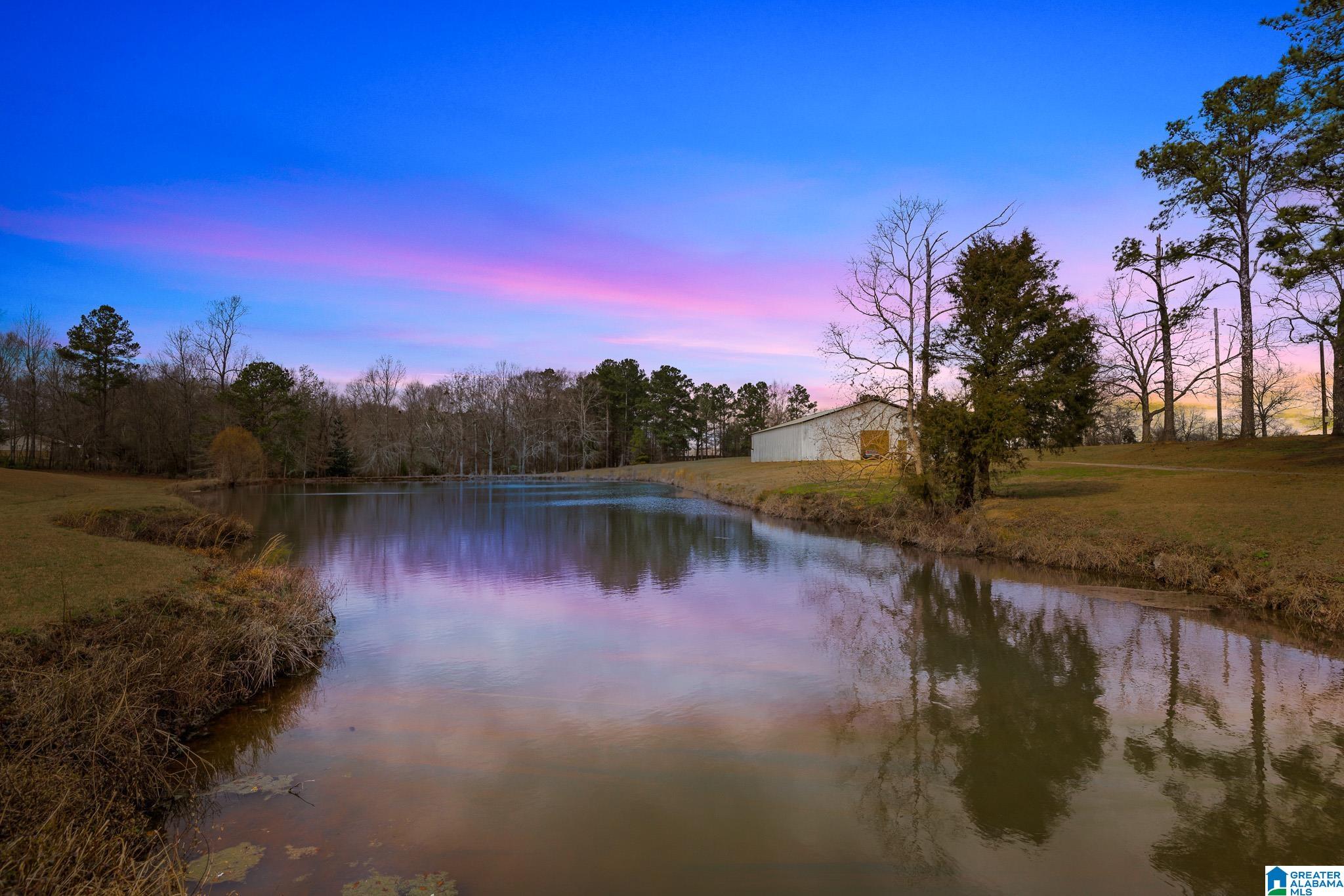 Homes for sale in Clanton, AL | 37 County Road 825, Clanton, AL 35045 | MLS# 21444941