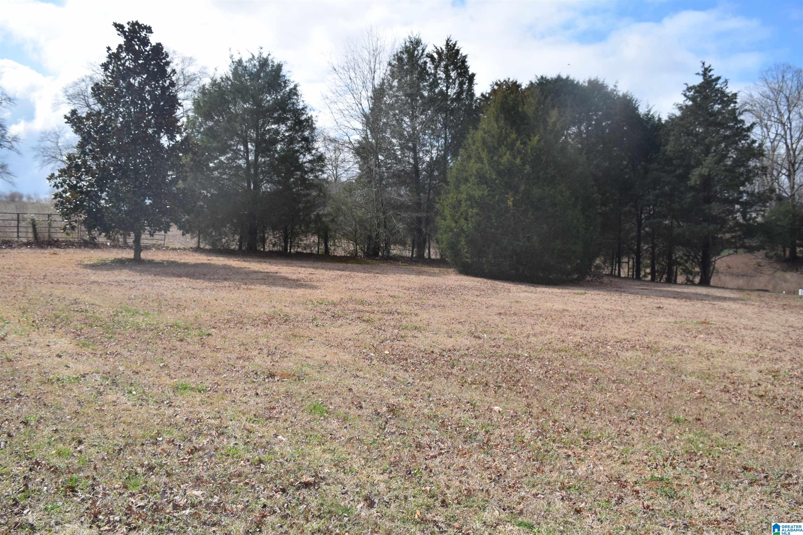 Homes for sale in Mccalla, AL | 22213 Sandra Lane, Mccalla, AL 35111 | MLS# 21444950