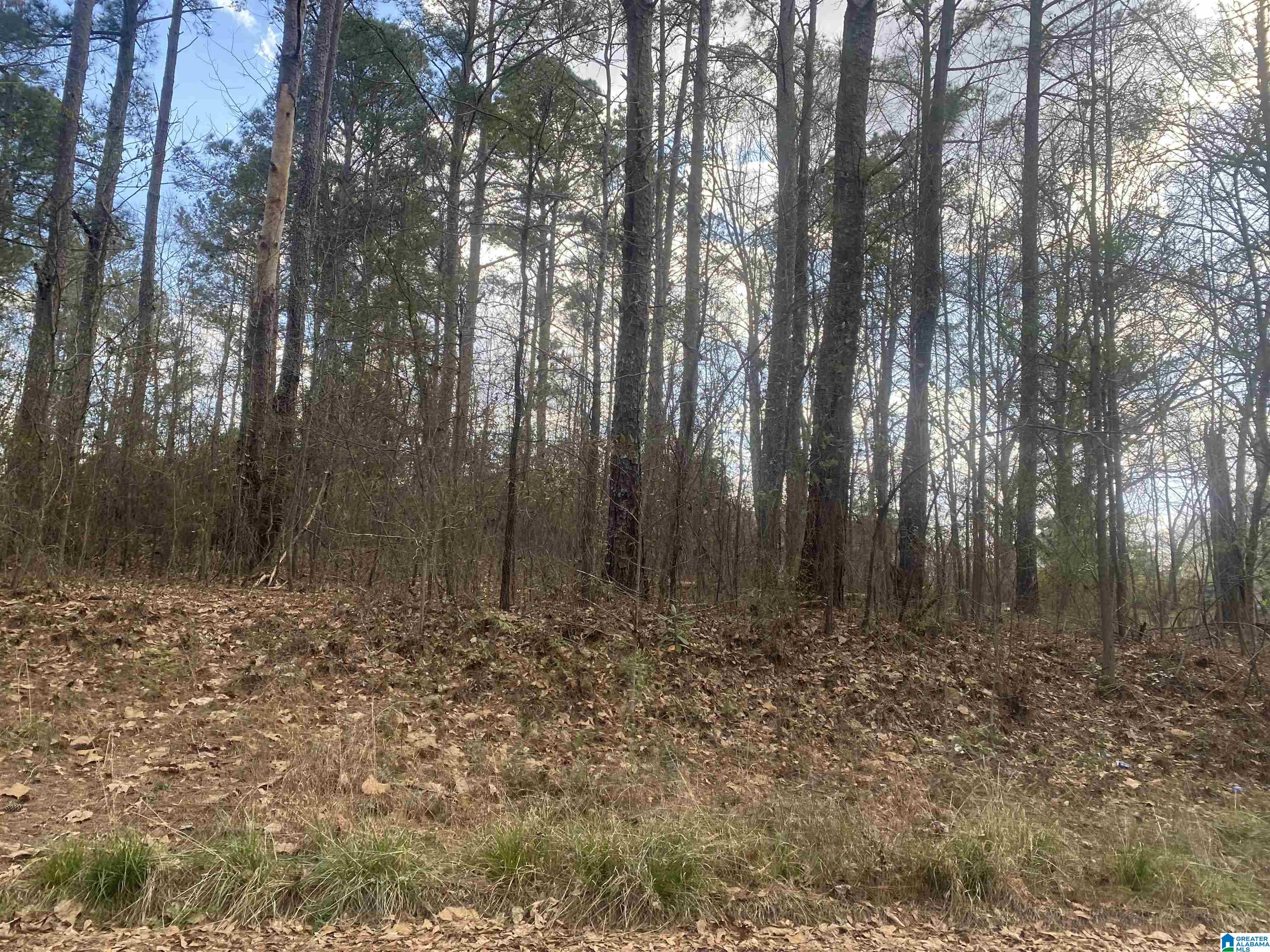 Homes for sale in Roanoke, AL | Lot 18 Dogwood Circle, Roanoke, AL 36274 | MLS# 21444955