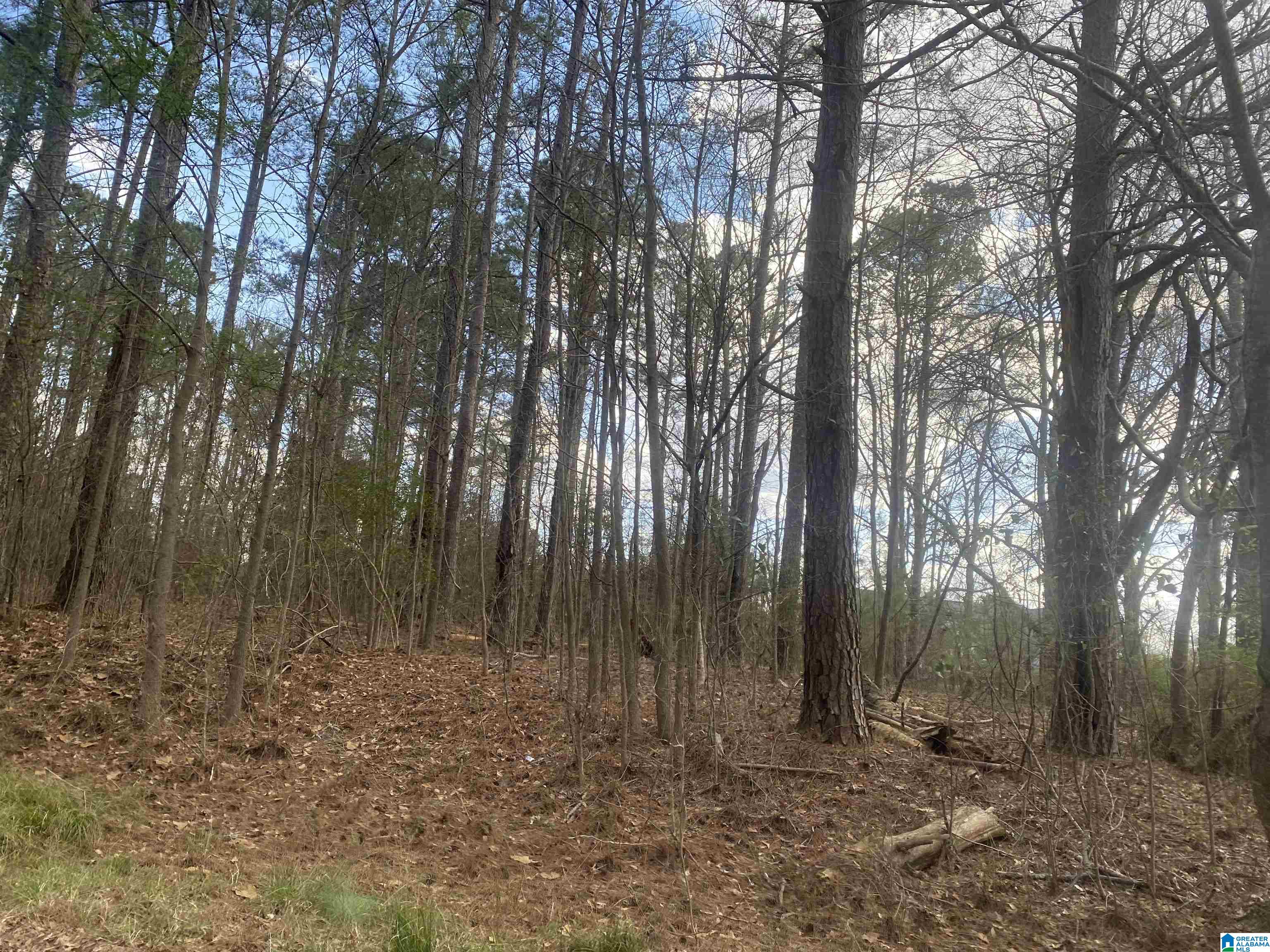 Photo 3 of Land for sale at Lot 18 Dogwood Cir, Roanoke, AL 36274 | MLS# 21444955 | Listing updated on 2026-02-28