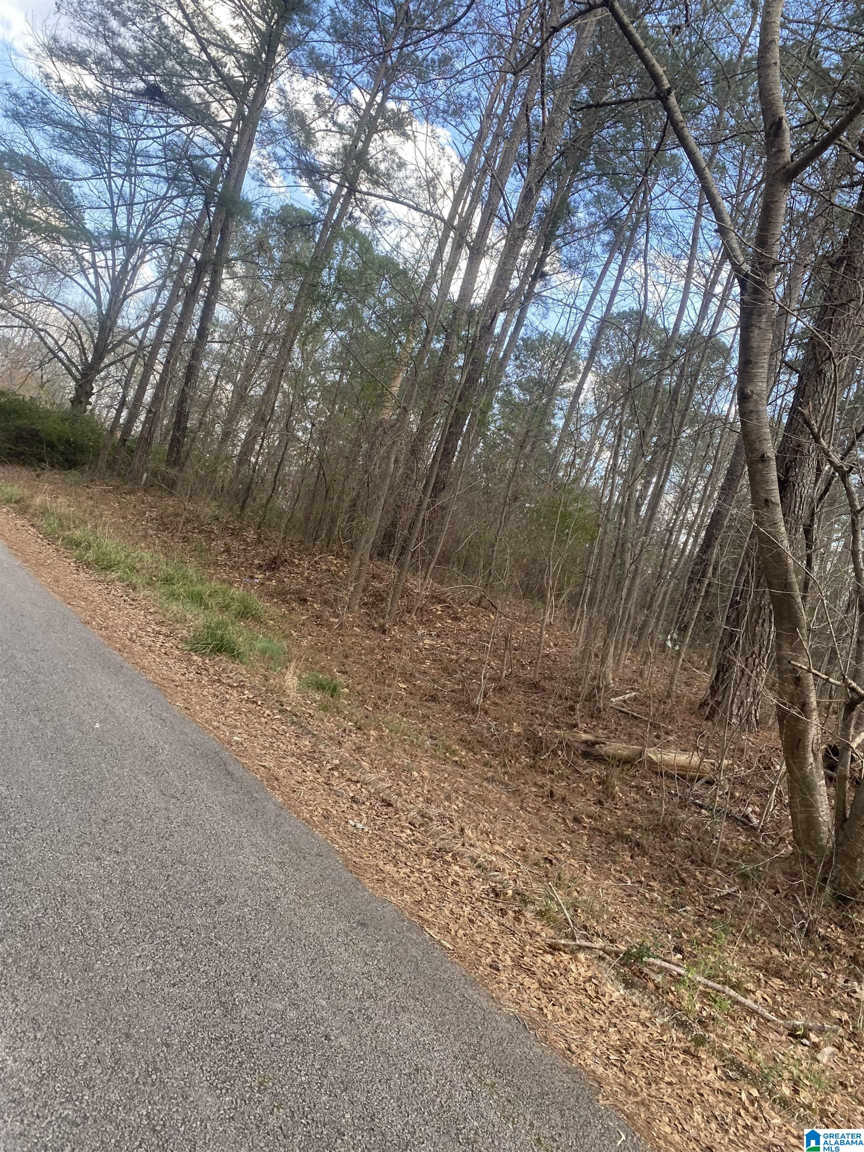 Homes for sale in Roanoke, AL | Lot 18 Dogwood Circle, Roanoke, AL 36274 | MLS# 21444955