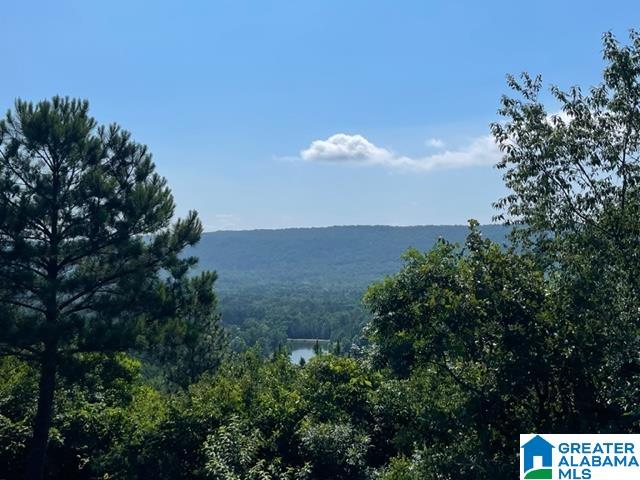 1118 GREYSTONE CREST DRIVE