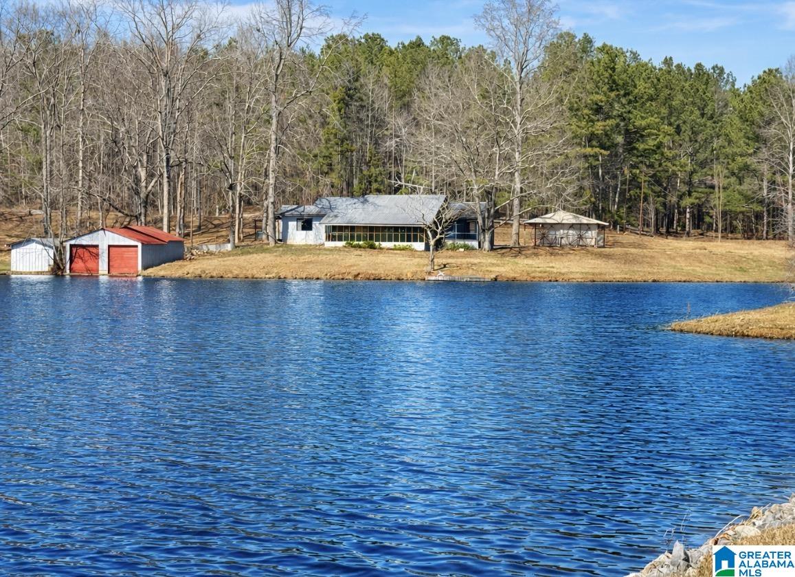 Homes for sale in Delta, AL | 1390 Lake Gerald Circle, Delta, AL 36258 | MLS# 21445003