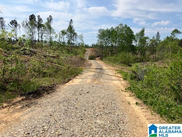 Homes for sale in Adger, AL | 11482 Camp Oliver Road, Adger, AL 35006 | MLS# 21445021