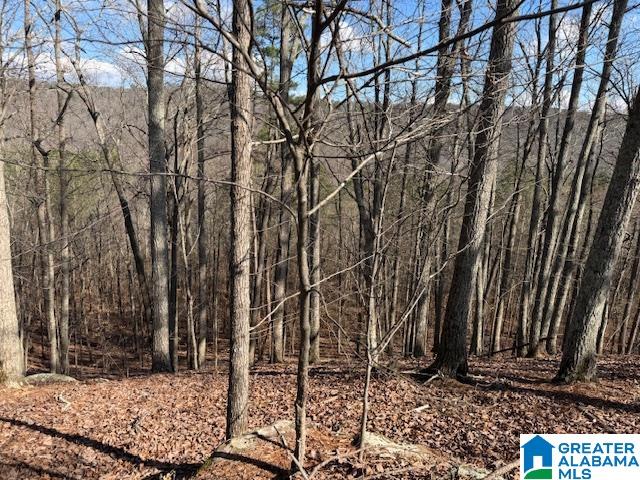 Homes for sale in Guntersville, AL | #80 Snow Dr, Guntersville, AL 35976 | MLS# 21445040