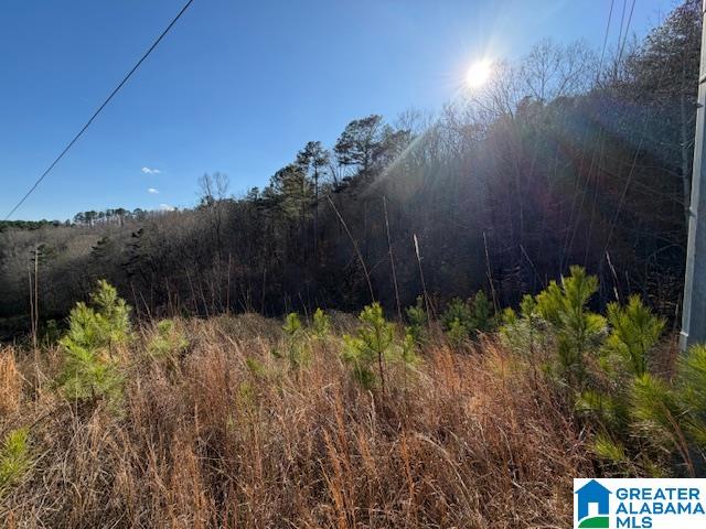 Homes for sale in Guntersville, AL | #80 Snow Dr, Guntersville, AL 35976 | MLS# 21445040