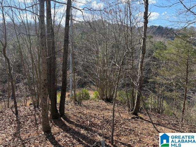 Homes for sale in Guntersville, AL | #80 Snow Dr, Guntersville, AL 35976 | MLS# 21445040