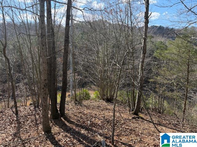 Homes for sale in Guntersville, AL | #80 Snow Dr, Guntersville, AL 35976 | MLS# 21445040
