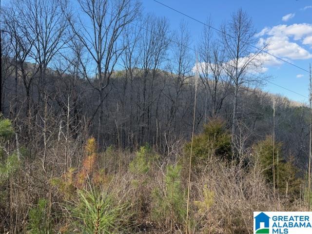 Homes for sale in Guntersville, AL | #80 Snow Dr, Guntersville, AL 35976 | MLS# 21445040