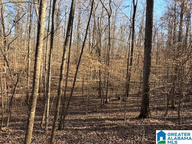 Homes for sale in Guntersville, AL | #80 Snow Dr, Guntersville, AL 35976 | MLS# 21445040