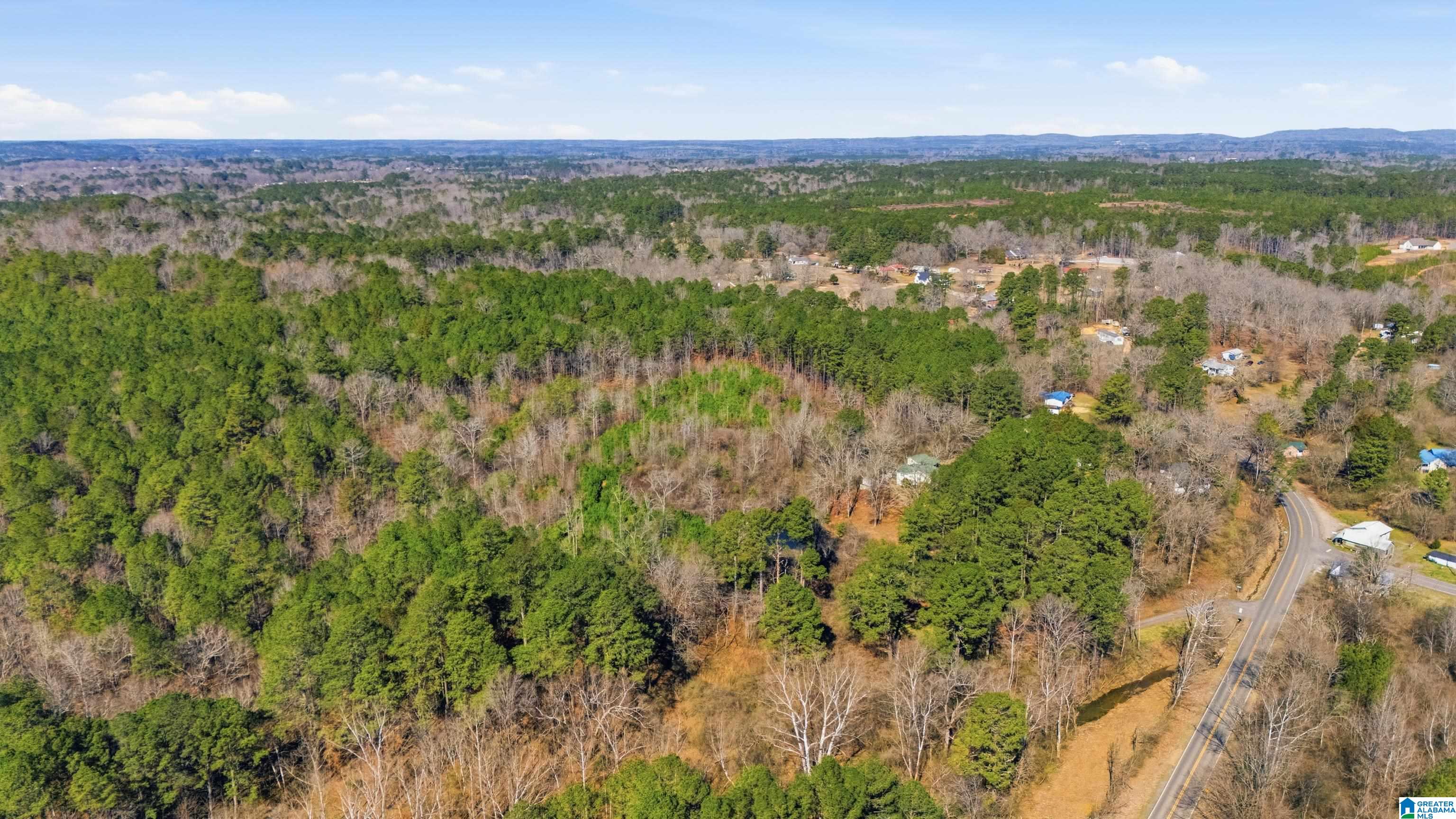 Homes for sale in Morris, AL | 8160 Anderson Dr, Morris, AL 35116 | MLS# 21445050