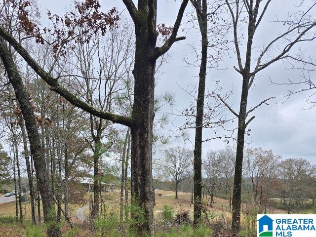 Homes for sale in Alpine, AL | 0 Capricorn Dr, Alpine, AL 35014 | MLS# 21445061