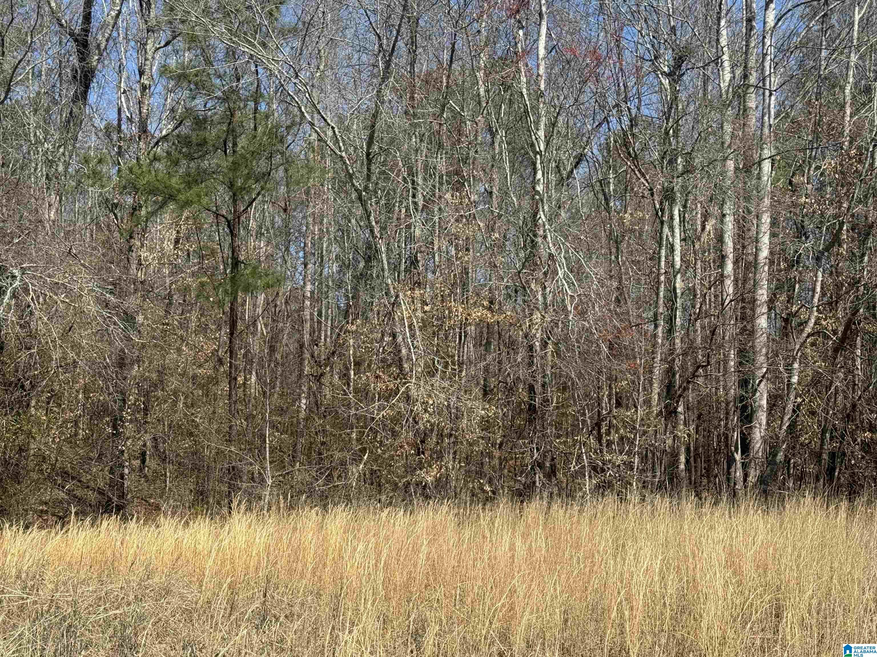 Lot 13 MARY DRIVE