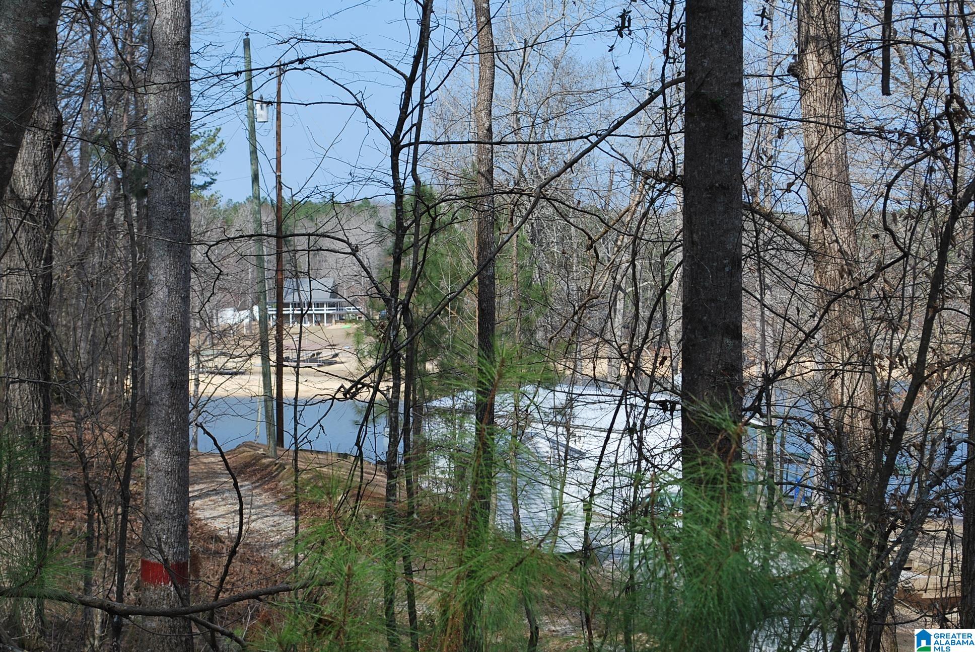 Homes for sale in Lineville, AL | County Road 8023, Lineville, AL 36266 | MLS# 21445069