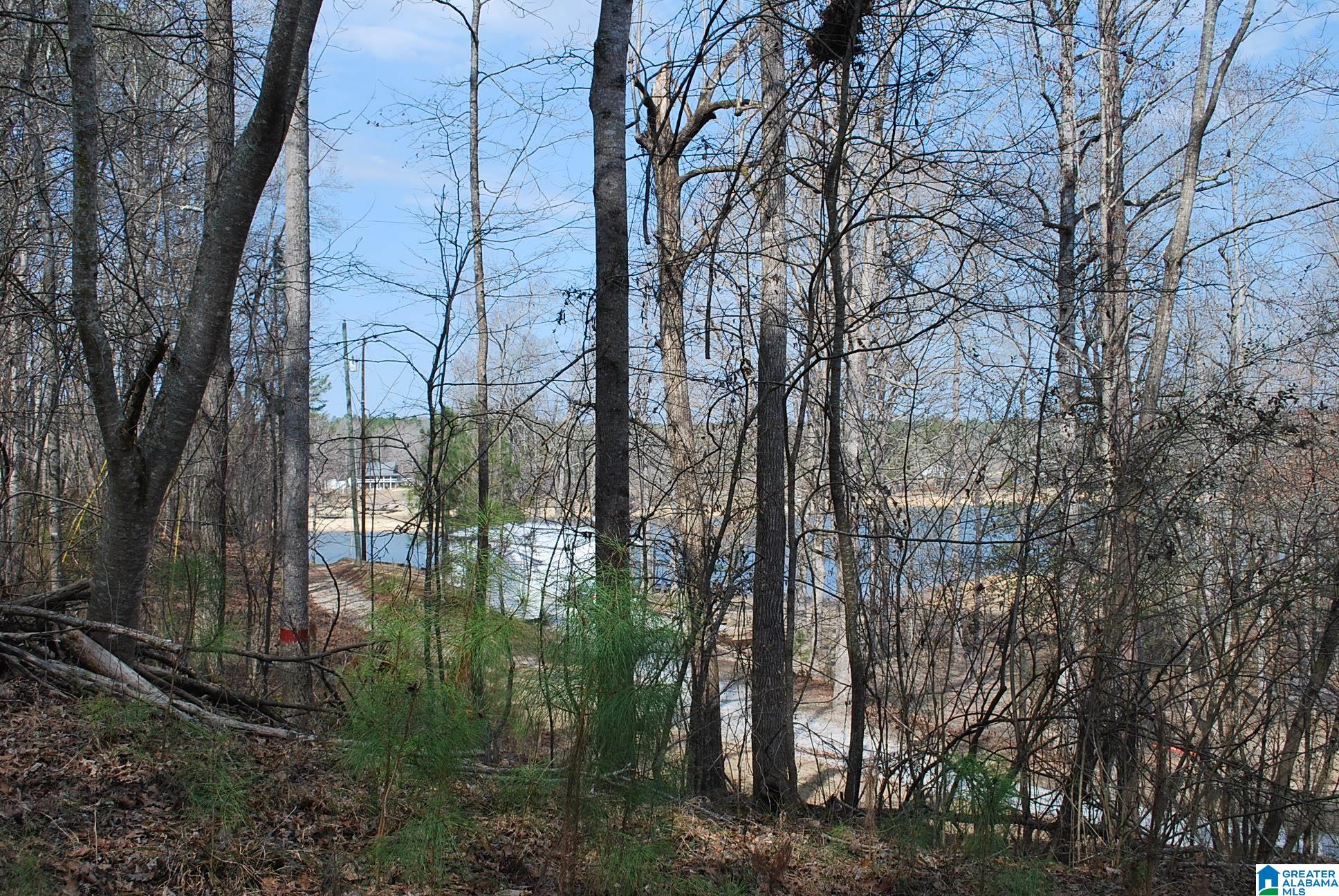 Homes for sale in Lineville, AL | County Road 8023, Lineville, AL 36266 | MLS# 21445069