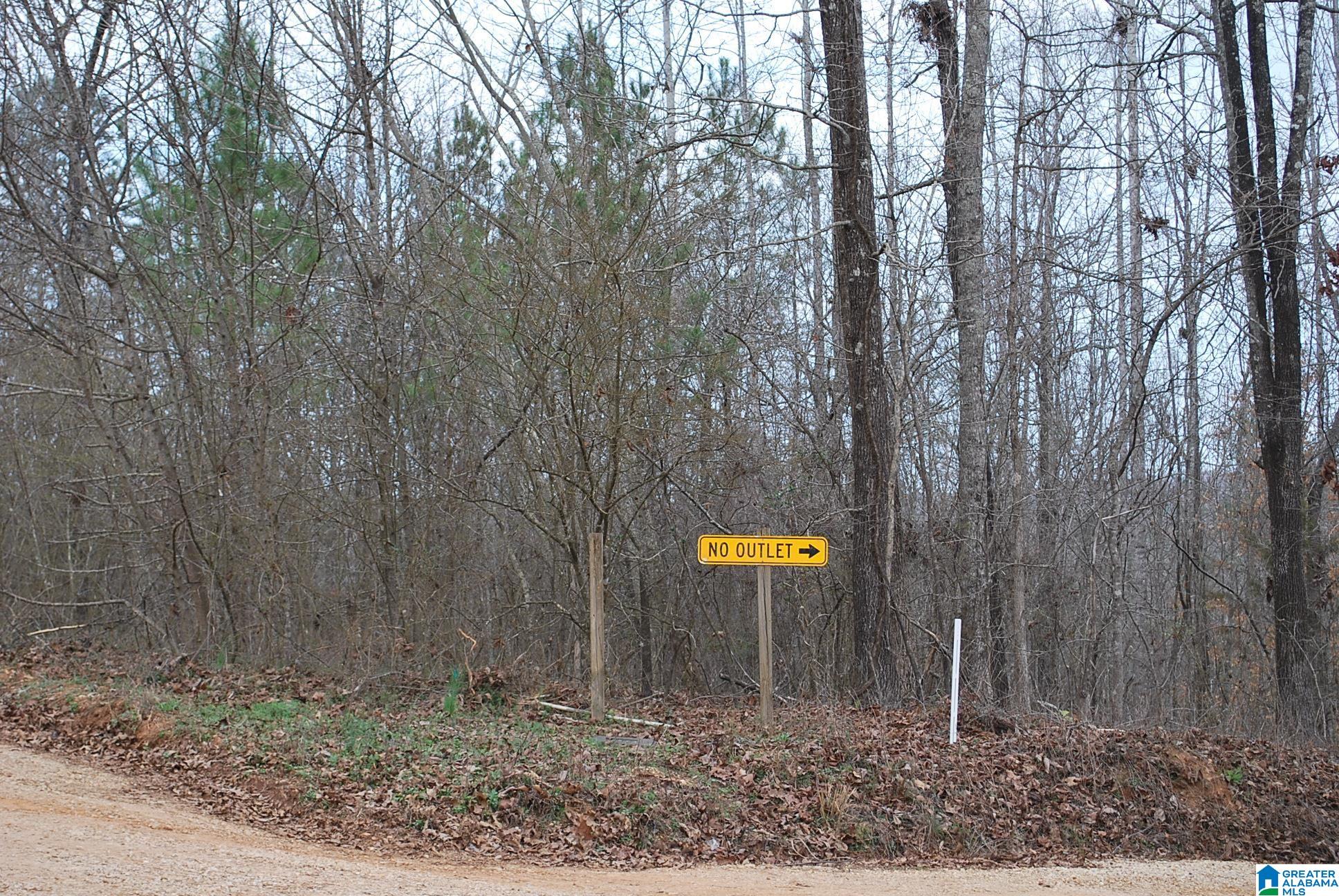 Homes for sale in Lineville, AL | County Road 8023, Lineville, AL 36266 | MLS# 21445069