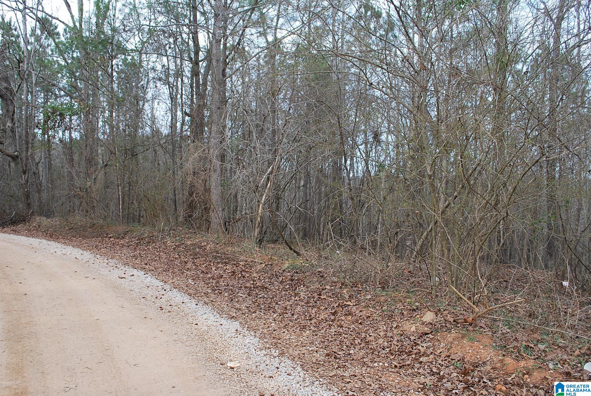 Homes for sale in Lineville, AL | County Road 8023, Lineville, AL 36266 | MLS# 21445069