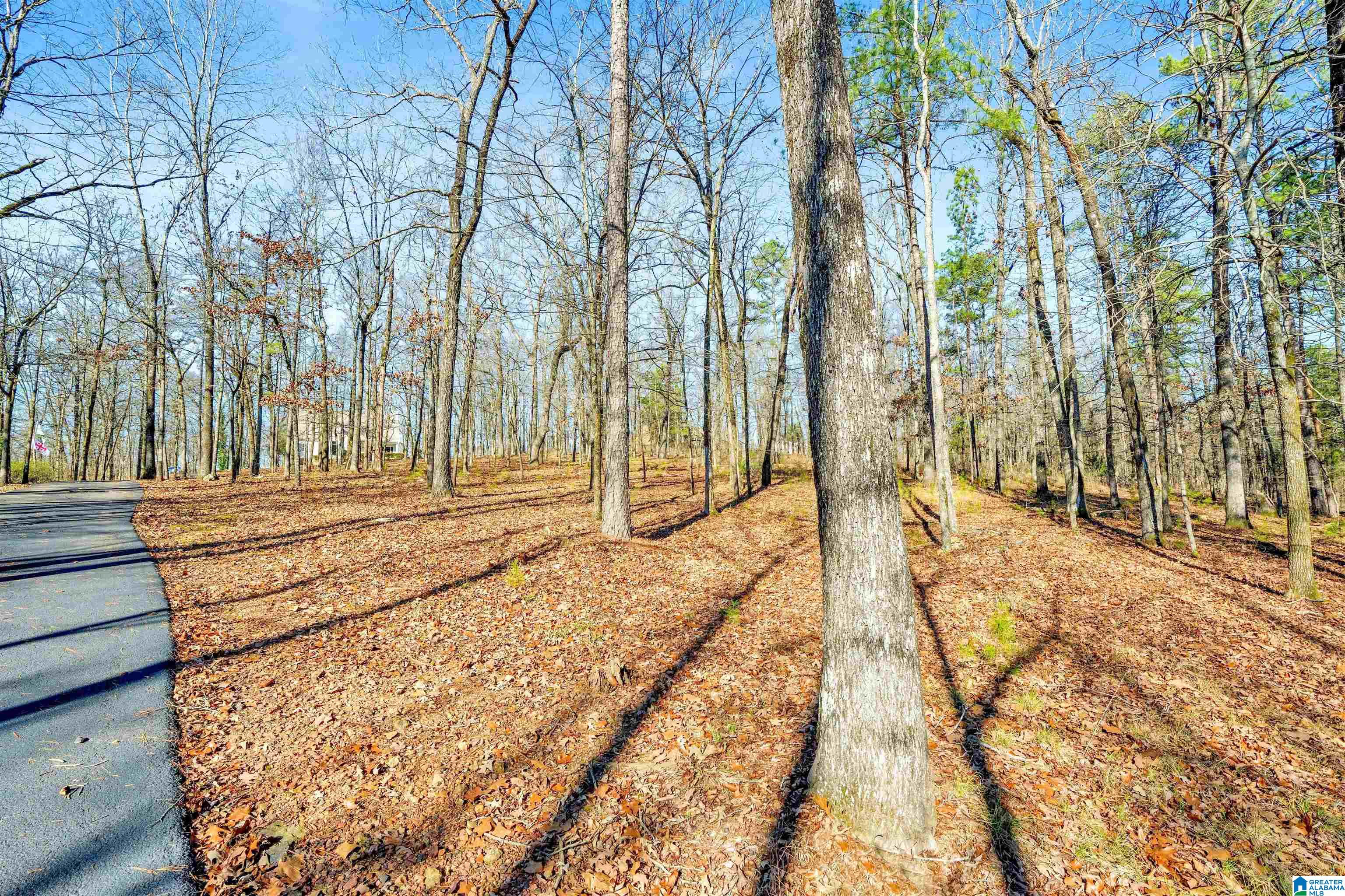 Homes for sale in Alabaster, AL | 150 Chestnut Dr, Alabaster, AL 35007 | MLS# 21445083