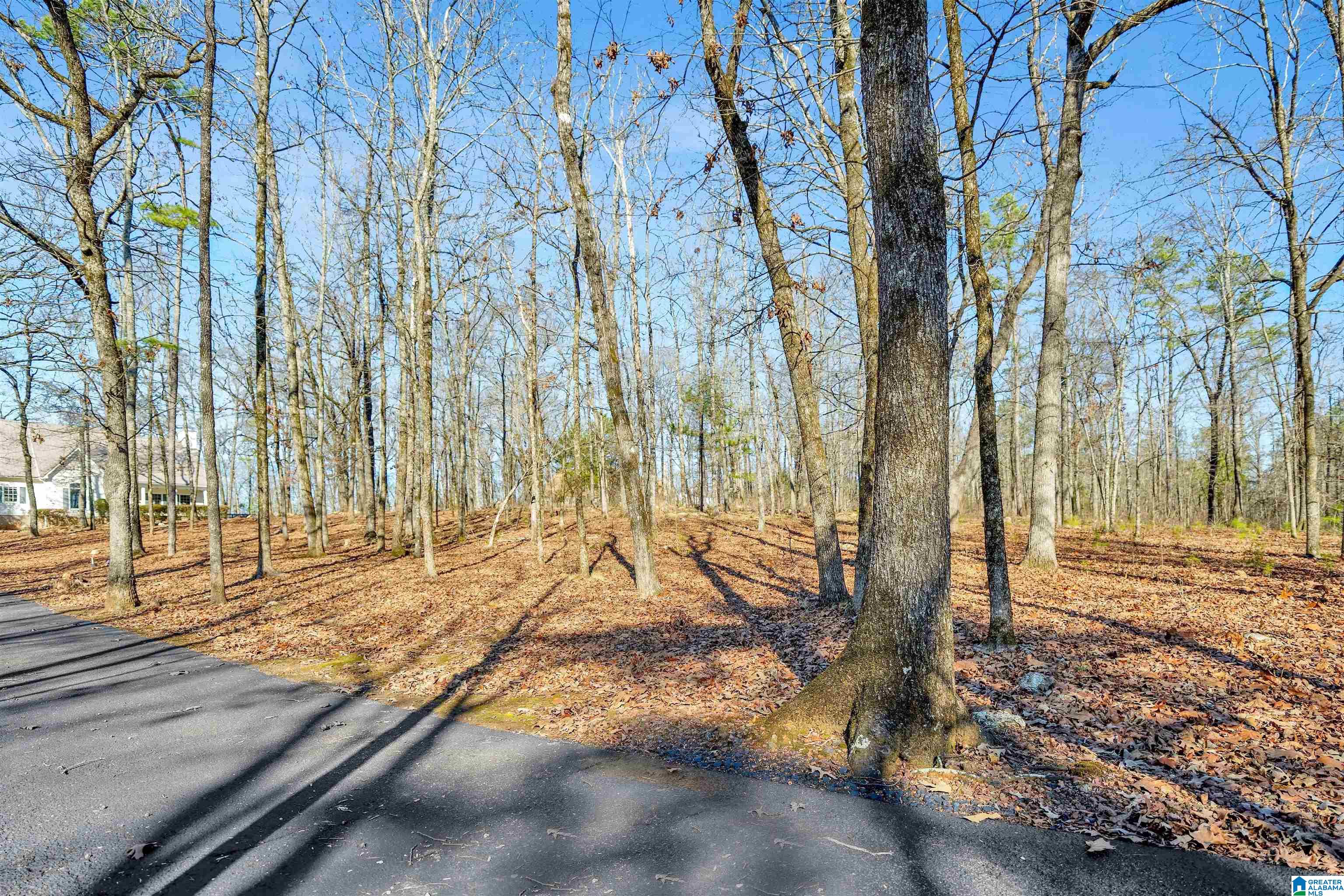 Homes for sale in Alabaster, AL | 150 Chestnut Dr, Alabaster, AL 35007 | MLS# 21445083