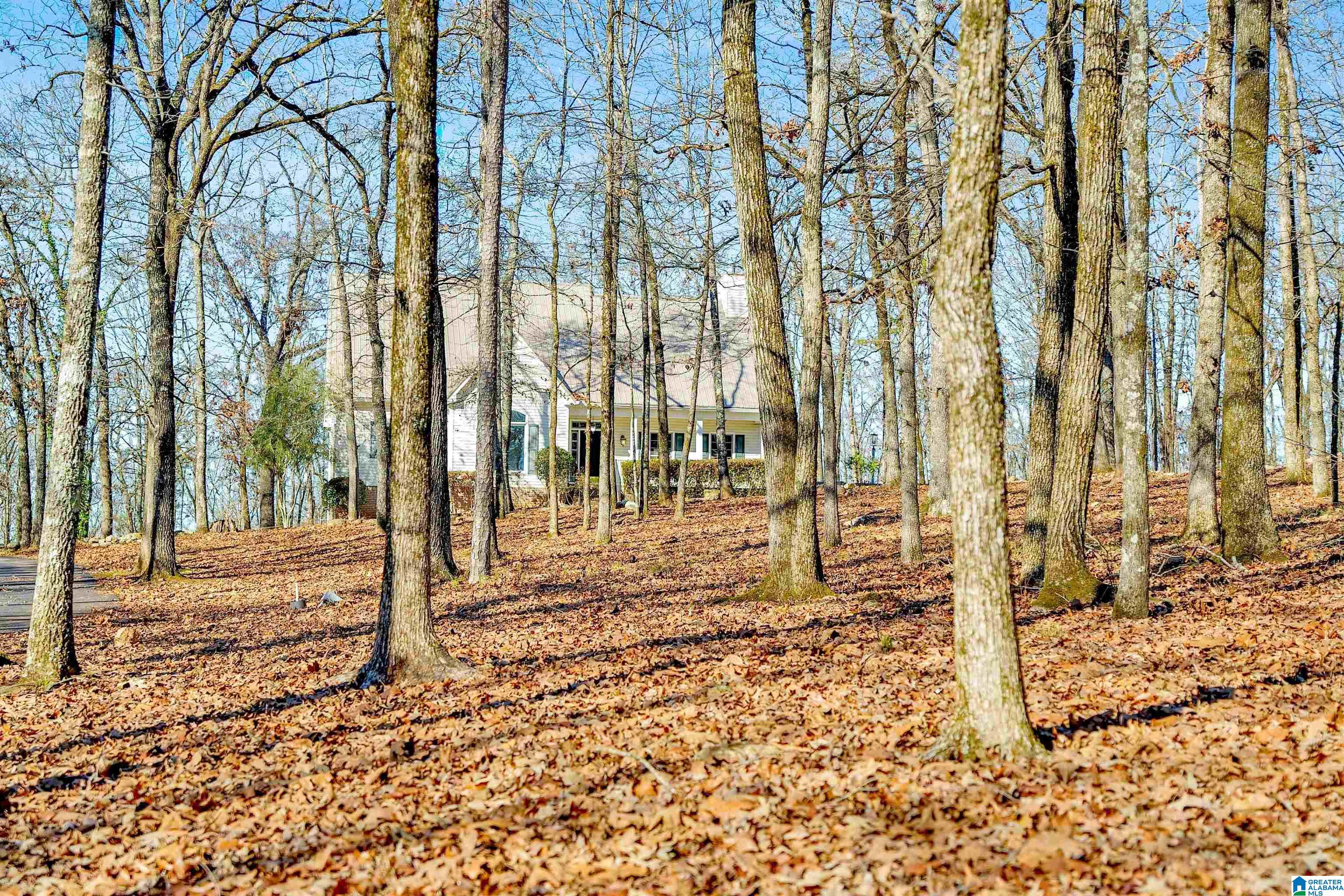 Homes for sale in Alabaster, AL | 150 Chestnut Dr, Alabaster, AL 35007 | MLS# 21445083