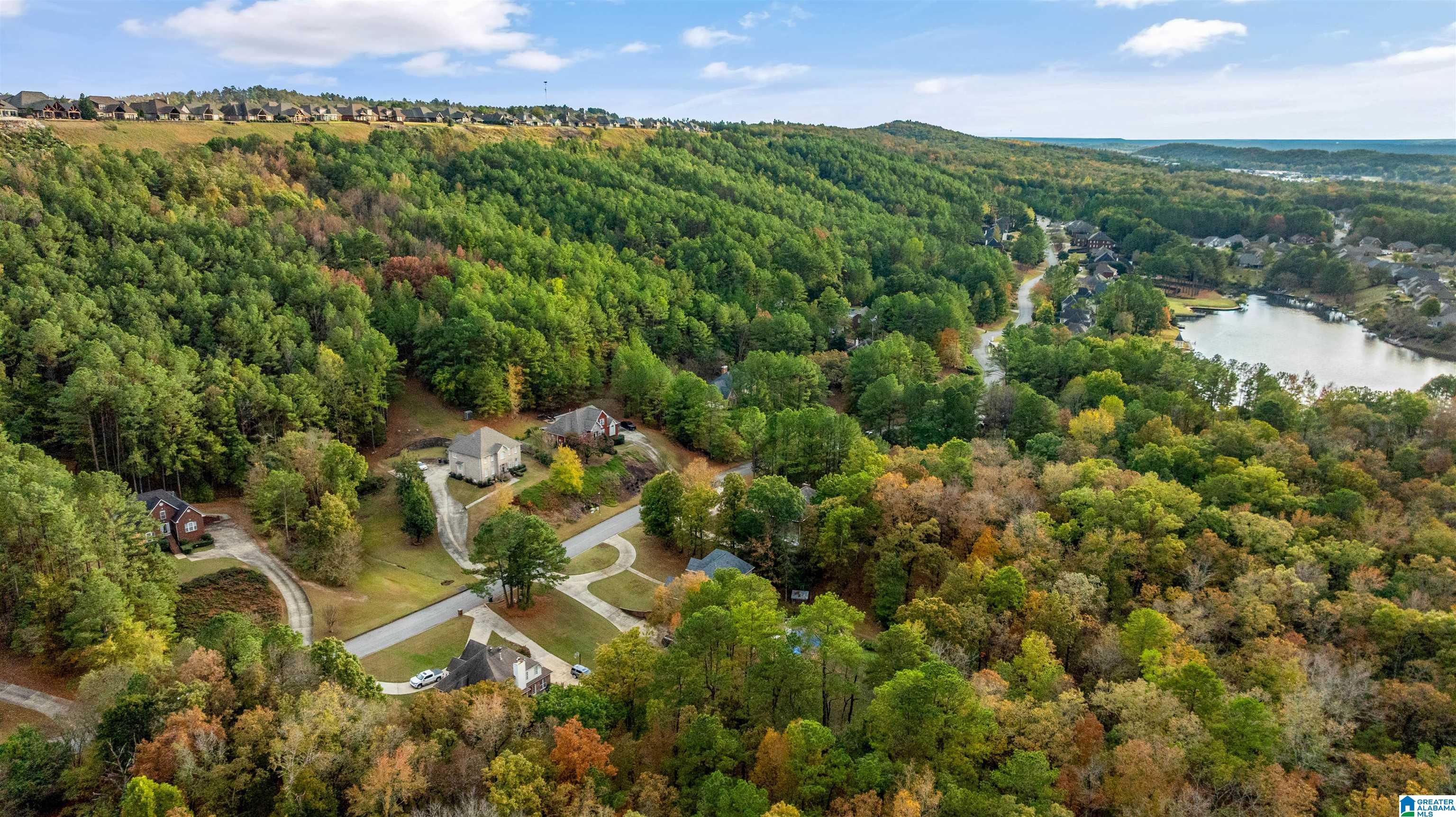 Homes for sale in Pelham, AL | 135 Windsor Lane, Pelham, AL 35124 | MLS# 21445092