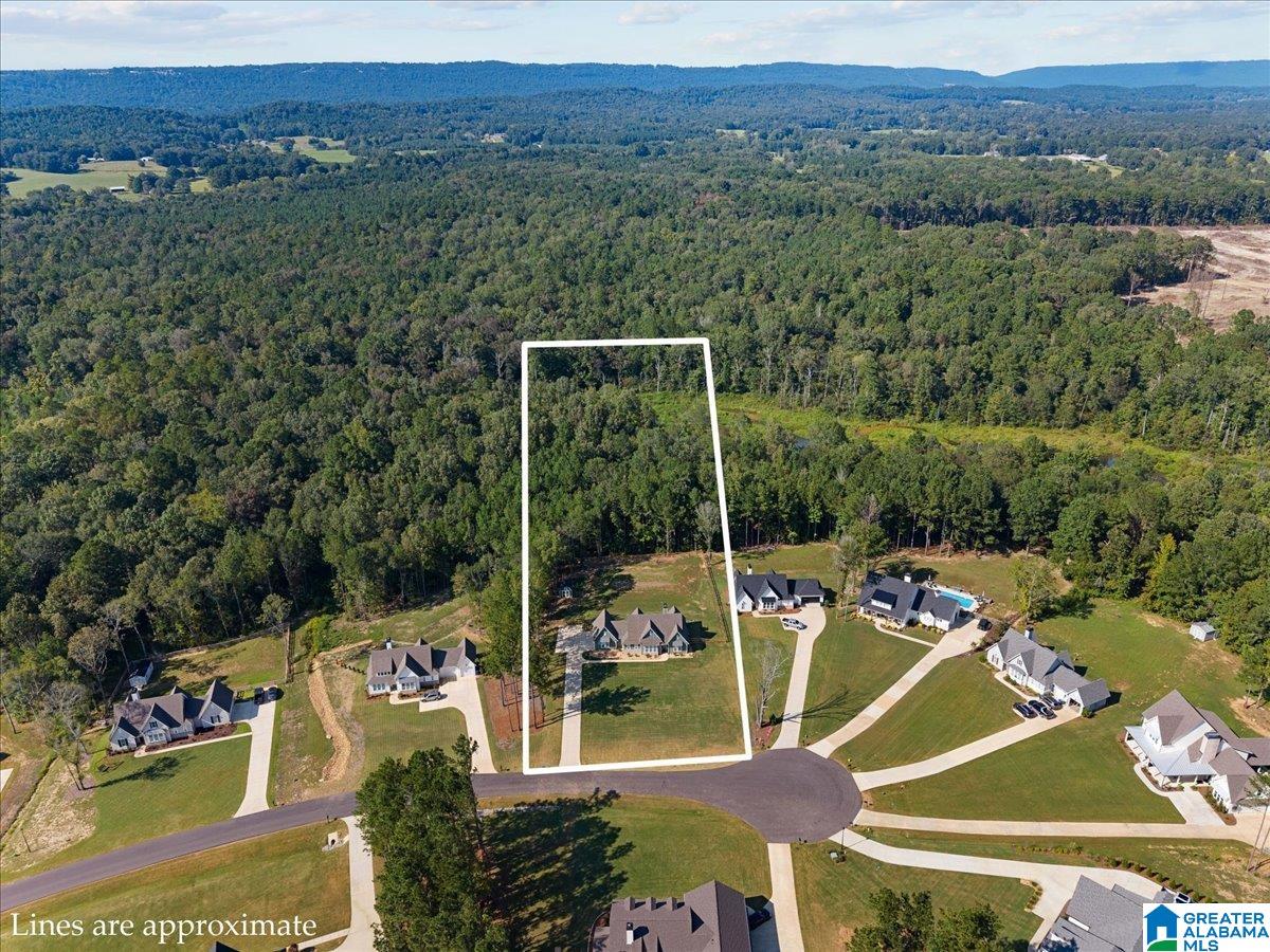 Homes for sale in Springville, AL | 425 Stonewood Trail, Springville, AL 35146 | MLS# 21445147