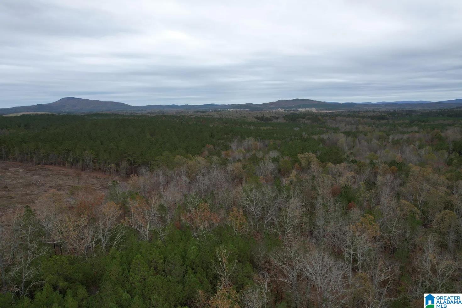 Homes for sale in Piedmont, AL | 393 Siler Road, Piedmont, AL 36272 | MLS# 21445171