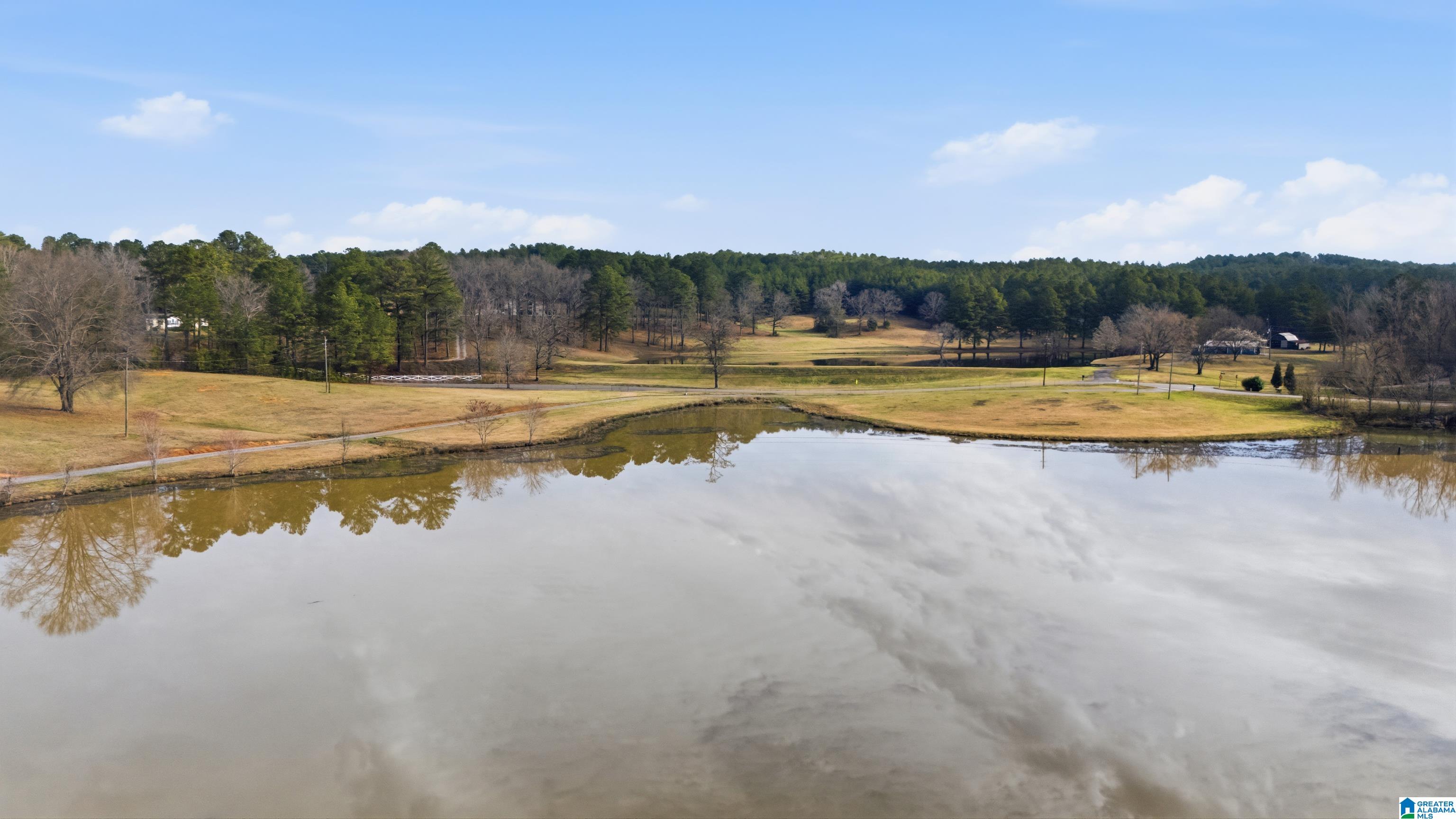 Homes for sale in Morris, AL | 7526 Sedgefield Dr, Morris, AL 35116 | MLS# 21445217