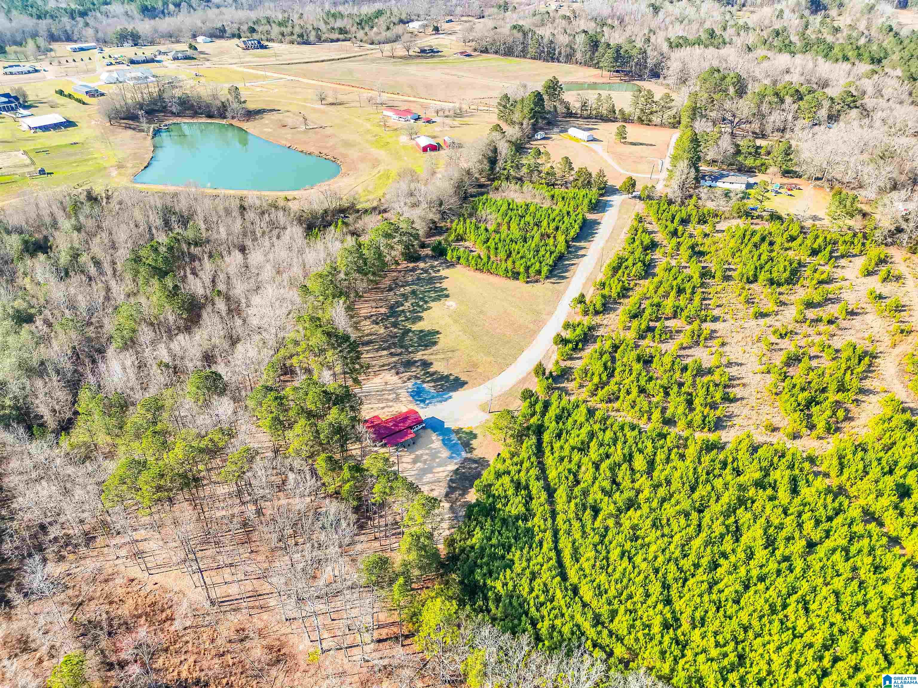 Homes for sale in Verbena, AL | 50 County Road 494, Verbena, AL 36091 | MLS# 21445220