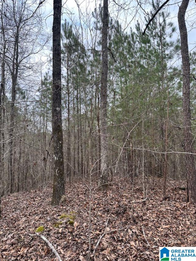 Homes for sale in Clanton, AL | 0 Hwy 145, Clanton, AL 35046 | MLS# 21445233