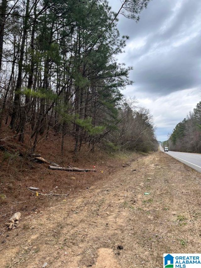 Homes for sale in Clanton, AL | 0 Hwy 145, Clanton, AL 35046 | MLS# 21445233