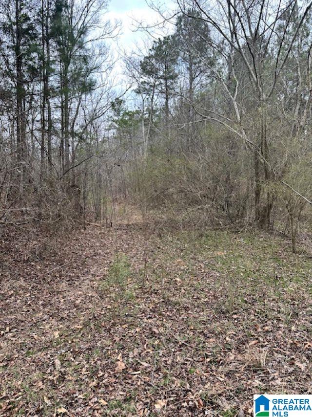 Homes for sale in Clanton, AL | 0 Hwy 145, Clanton, AL 35046 | MLS# 21445233