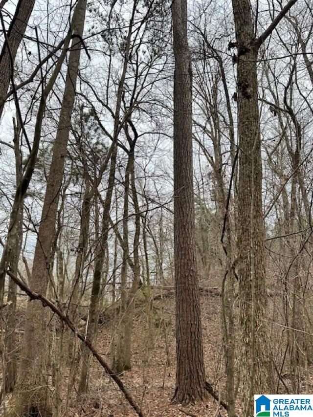 Homes for sale in Clanton, AL | 0 Hwy 145, Clanton, AL 35046 | MLS# 21445233