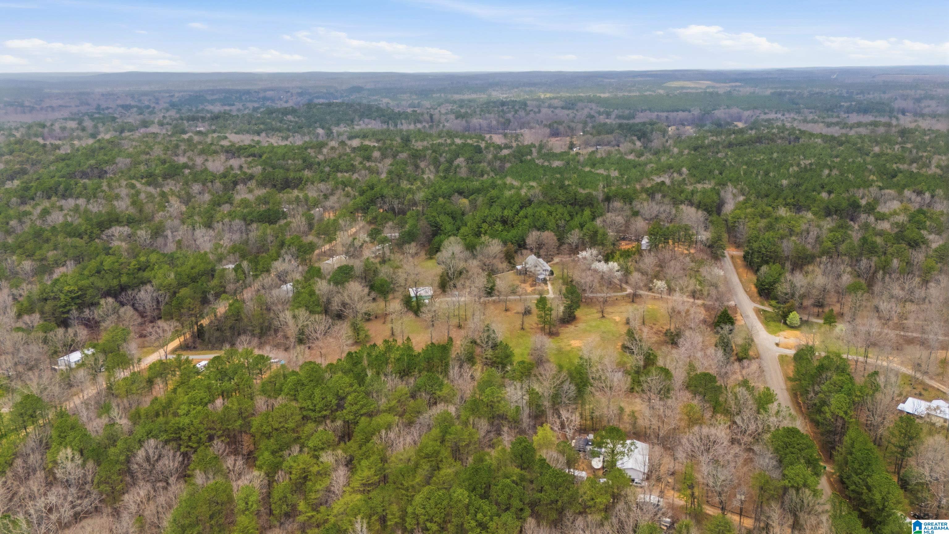 Homes for sale in Mccalla, AL | 12864 Braswell Dr, Mccalla, AL 35111 | MLS# 21445250