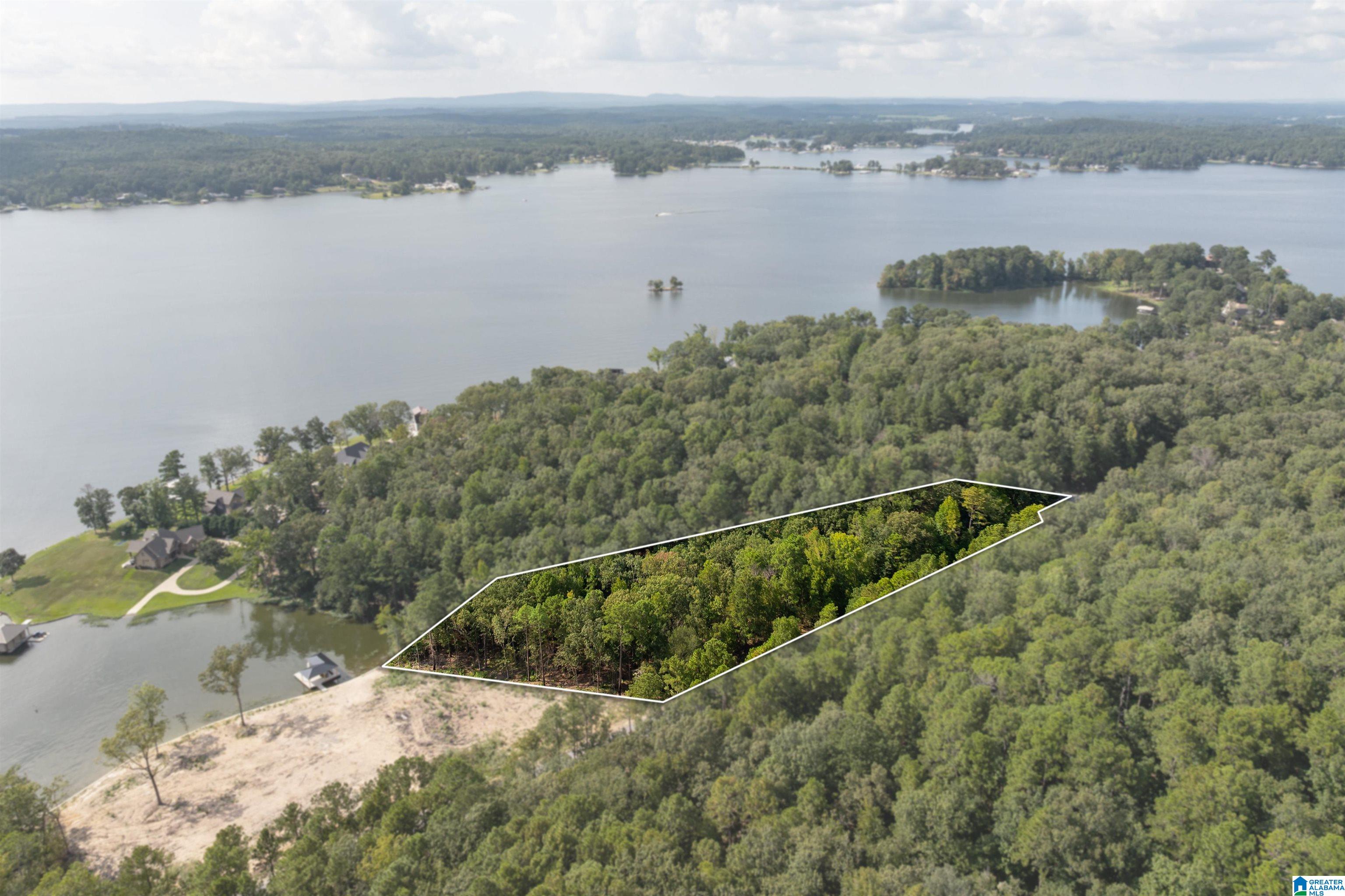 Homes for sale in Alpine, AL | Lot 4 Constellation Dr, Alpine, AL 35014 | MLS# 21445264