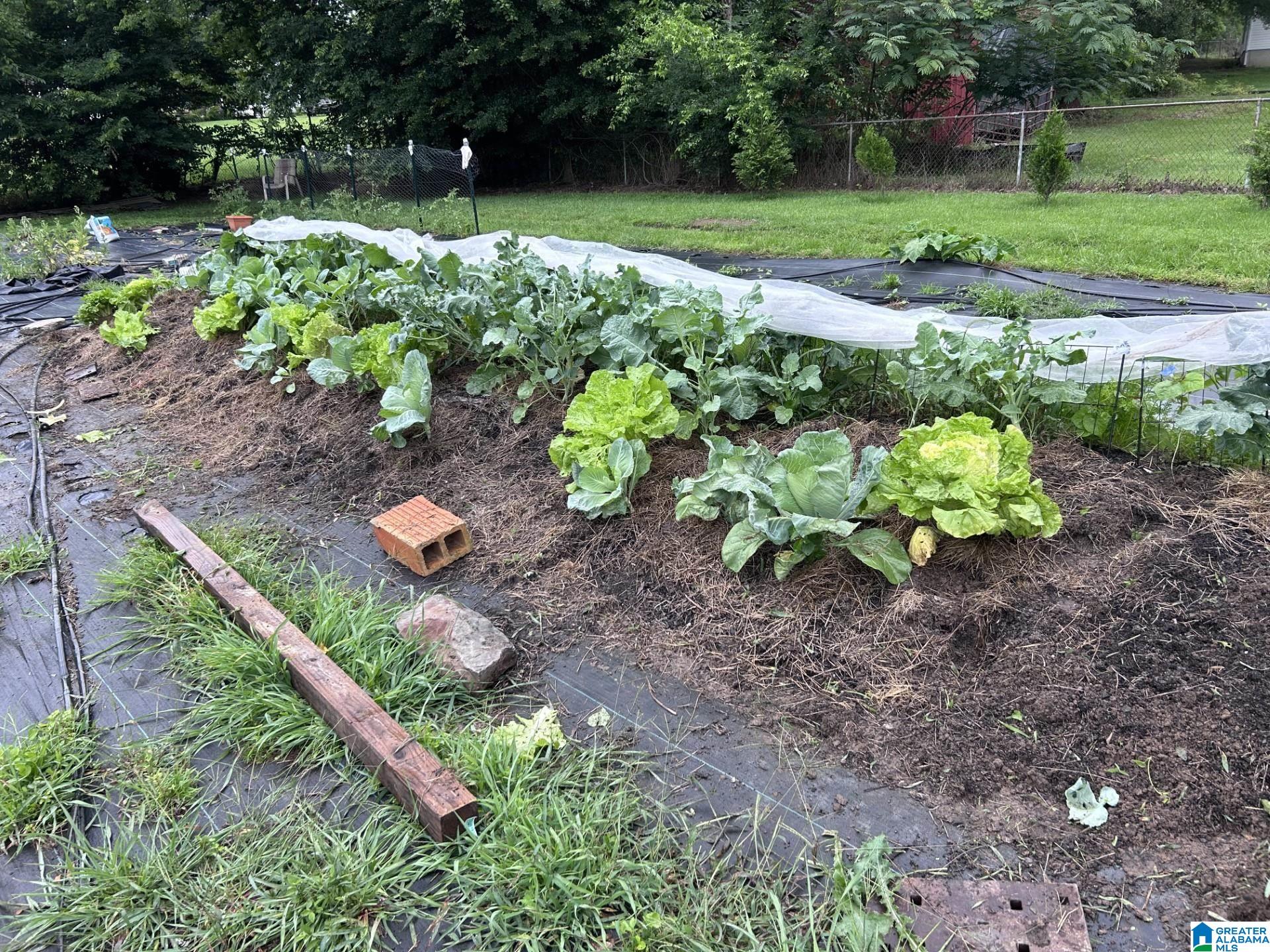 Homes for sale in Mount Olive, AL | 397 Avon Circle, Mount Olive, AL 35117 | MLS# 21445313