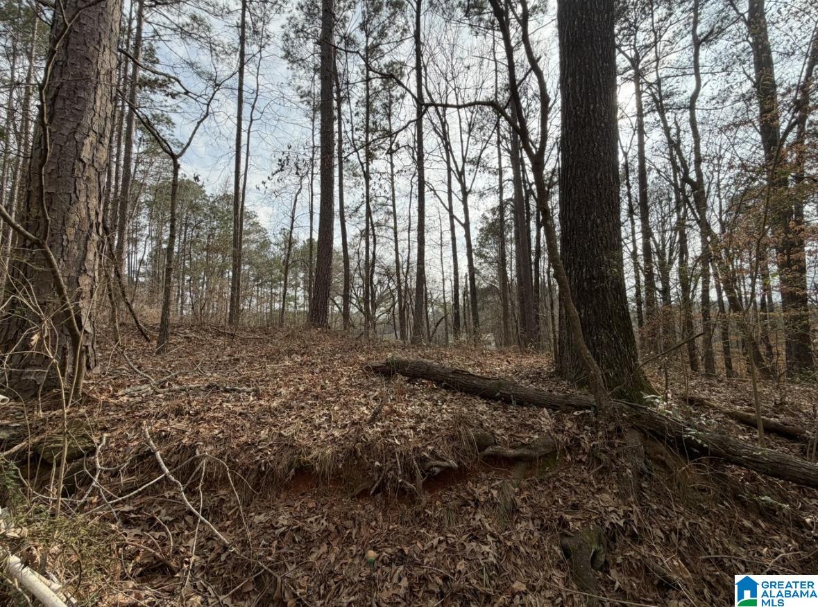 Homes for sale in Jacksons Gap (jacksons G), AL | 1069 Midway Estates Road, Jacksons Gap (jacksons G), AL 36861 | MLS# 21445322