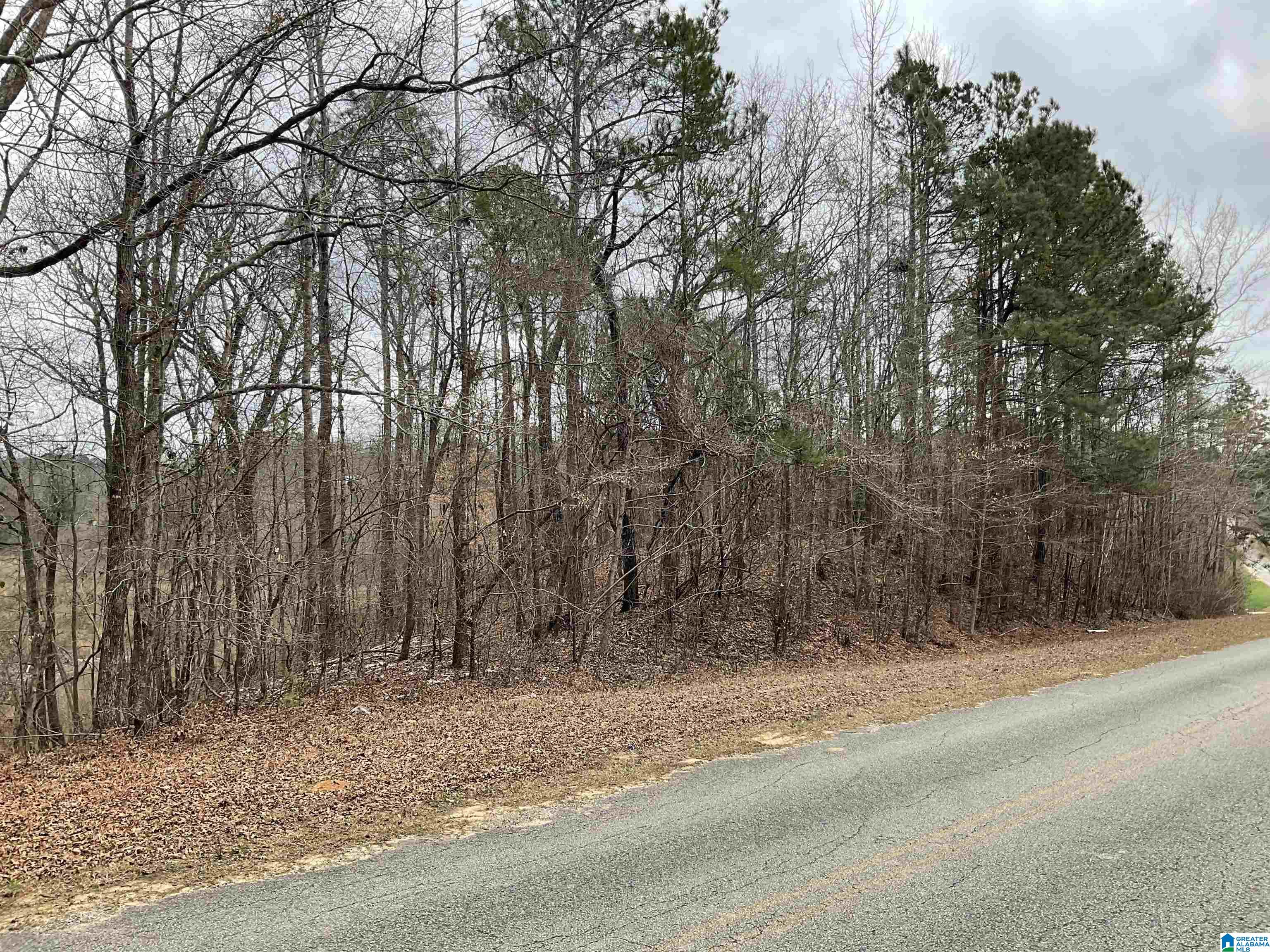 Homes for sale in Thorsby, AL | 0 County Road 5, Thorsby, AL 35171 | MLS# 21445324