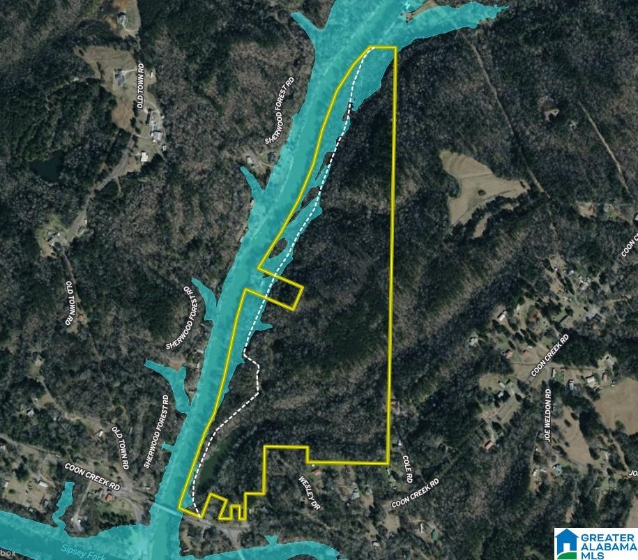 Homes for sale in Empire, AL | 01 Sipsey Road, Empire, AL 35063 | MLS# 21445338