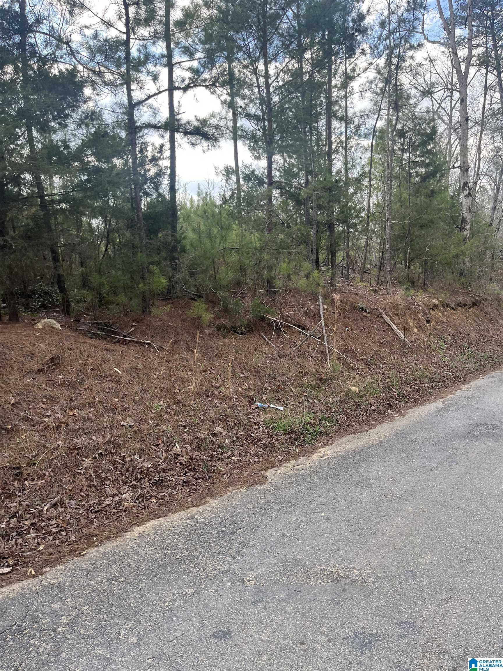 Homes for sale in West Blocton, AL | 0 Old Woodstock Road, West Blocton, AL 35184 | MLS# 21445362