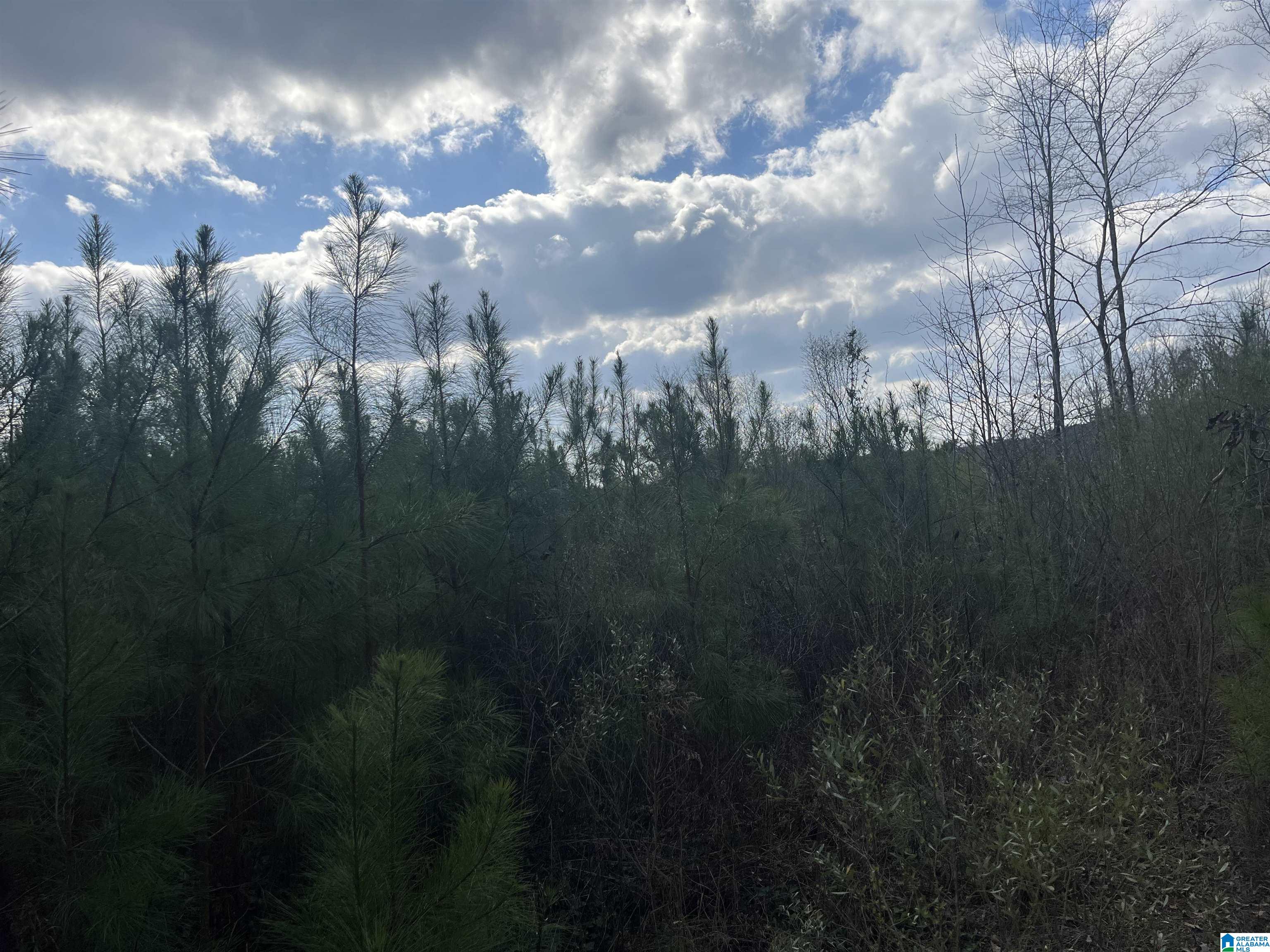 Homes for sale in West Blocton, AL | 0 Old Woodstock Road, West Blocton, AL 35184 | MLS# 21445362