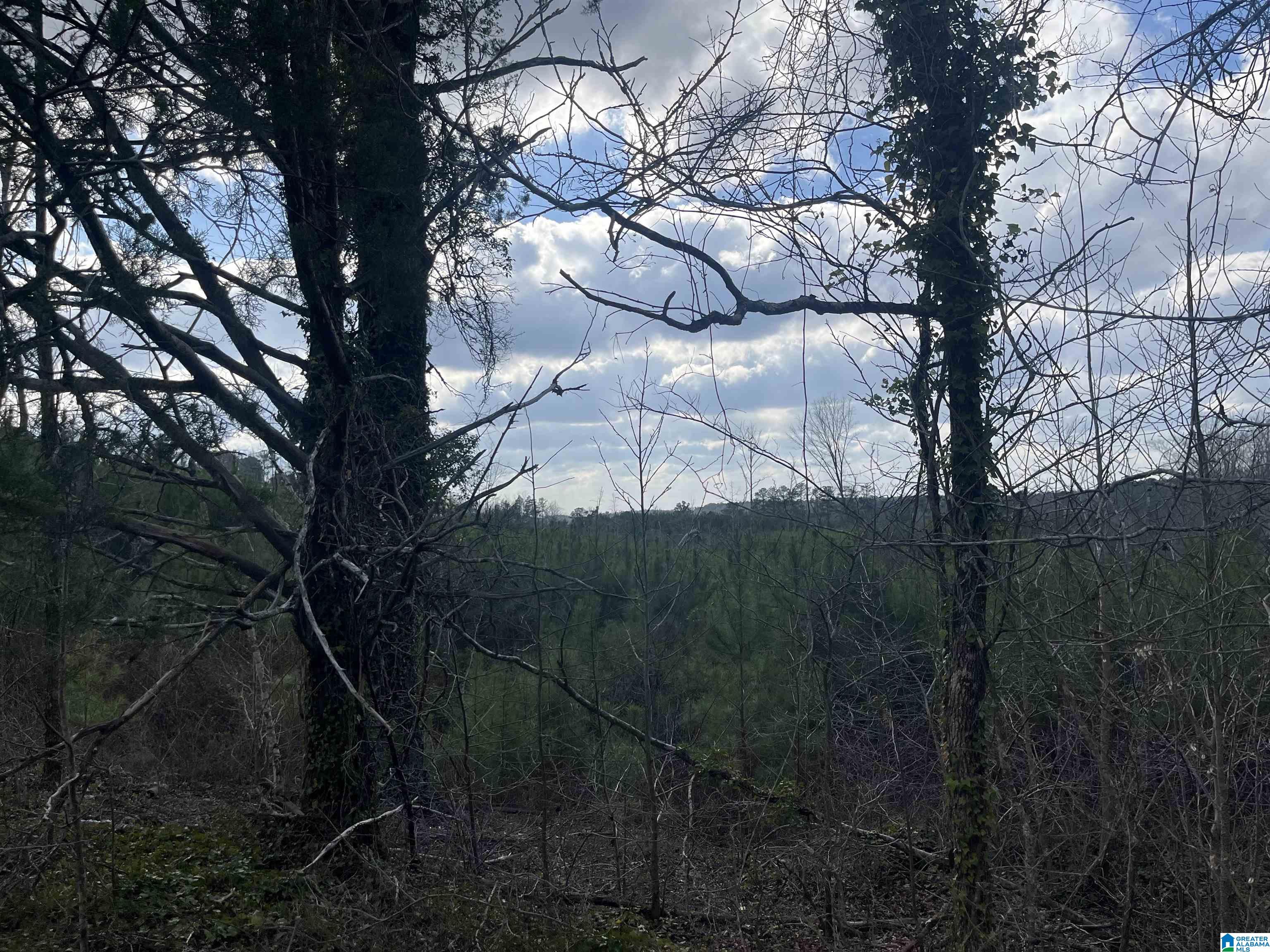 Homes for sale in West Blocton, AL | 0 Old Woodstock Road, West Blocton, AL 35184 | MLS# 21445362