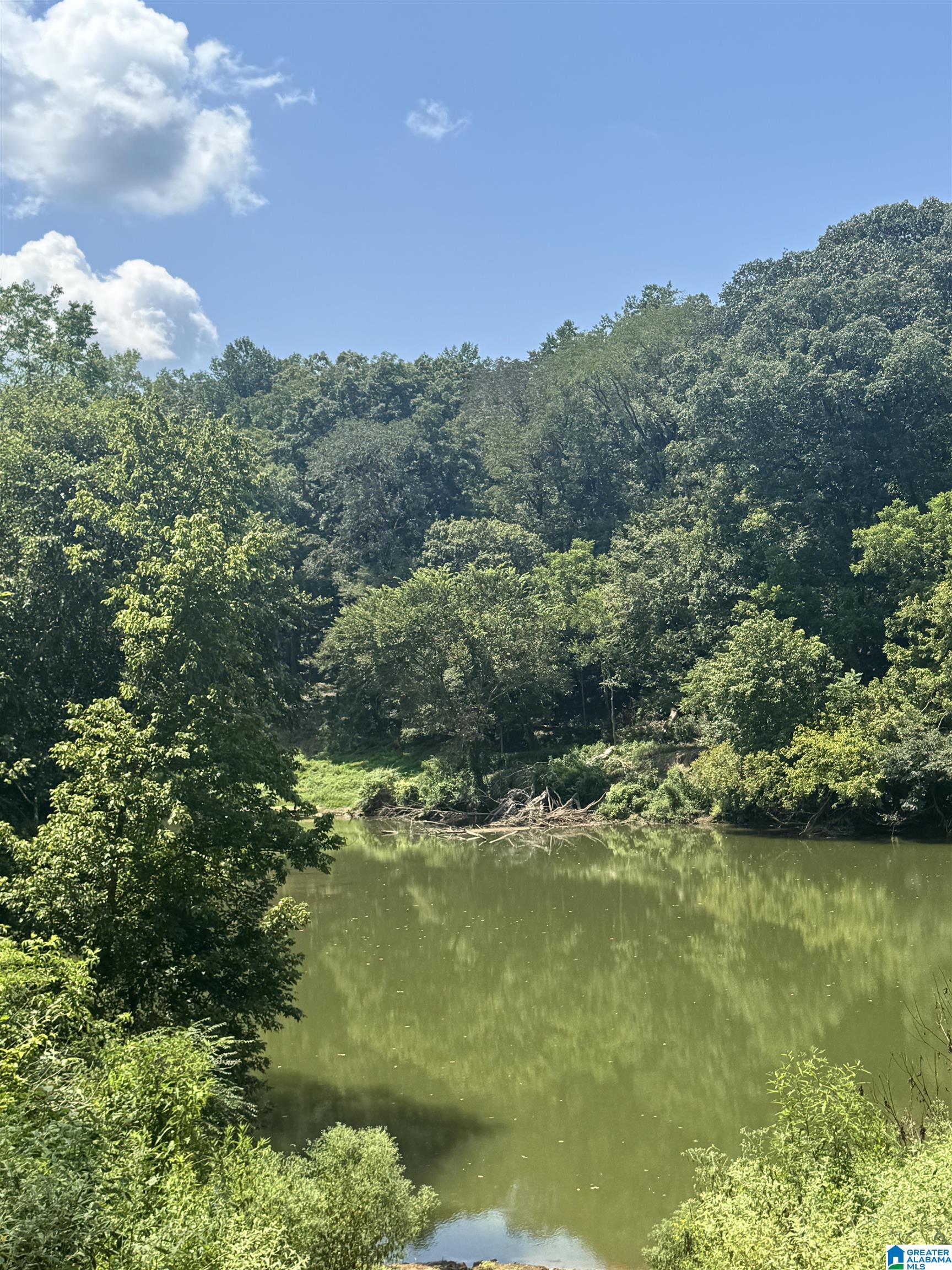 Homes for sale in Centreville, AL | 2270 Birmingham Road, Centreville, AL 35042 | MLS# 21445364